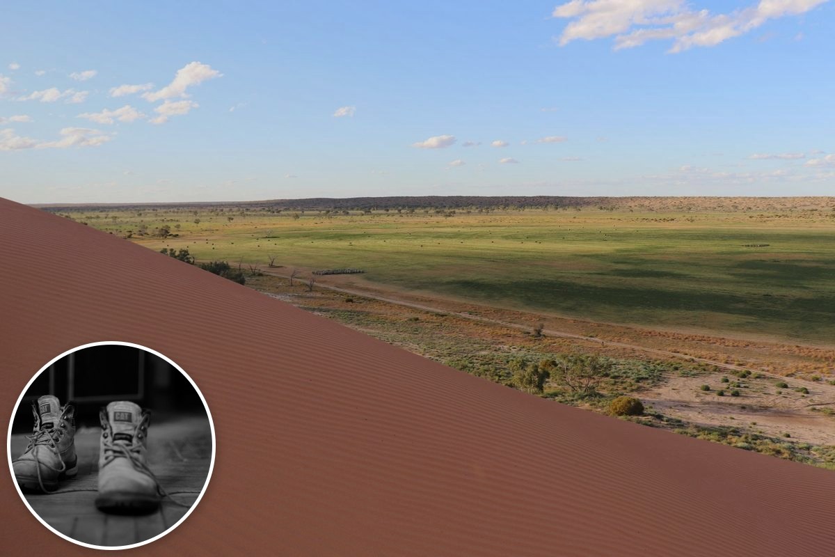 A red sand dune in the Simpson Desert overlooking a green floodplain under a blue sky.