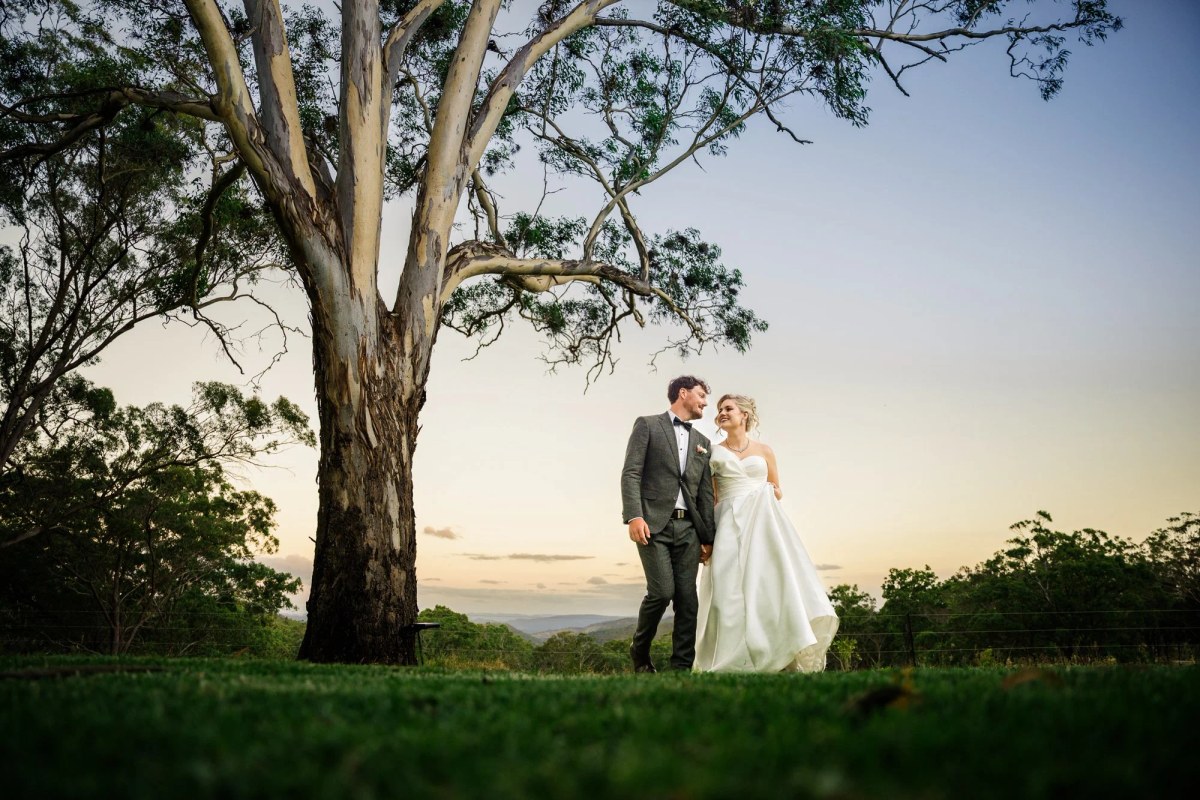 A couple walk hand in hand beneath a towering gum tree at dusk, hills rolling away behind them.