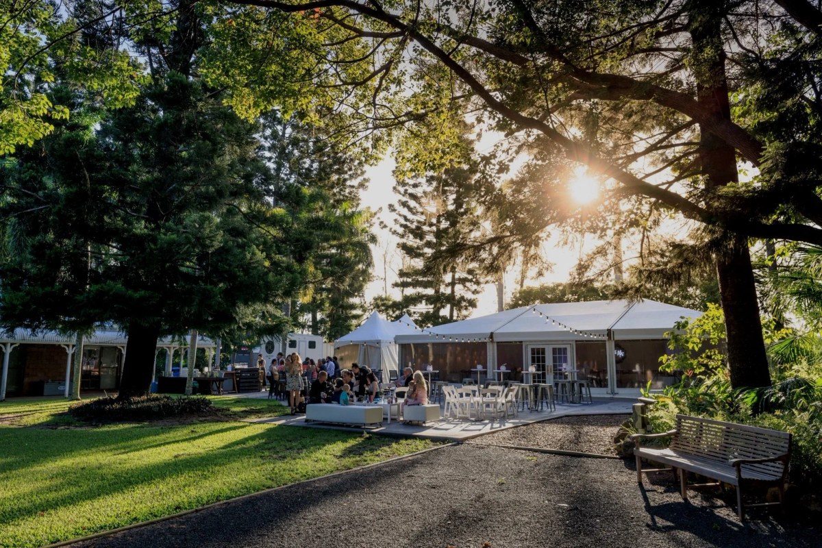 Evening sun filters through tall trees onto the marquee and outdoor patio at In The Grove.