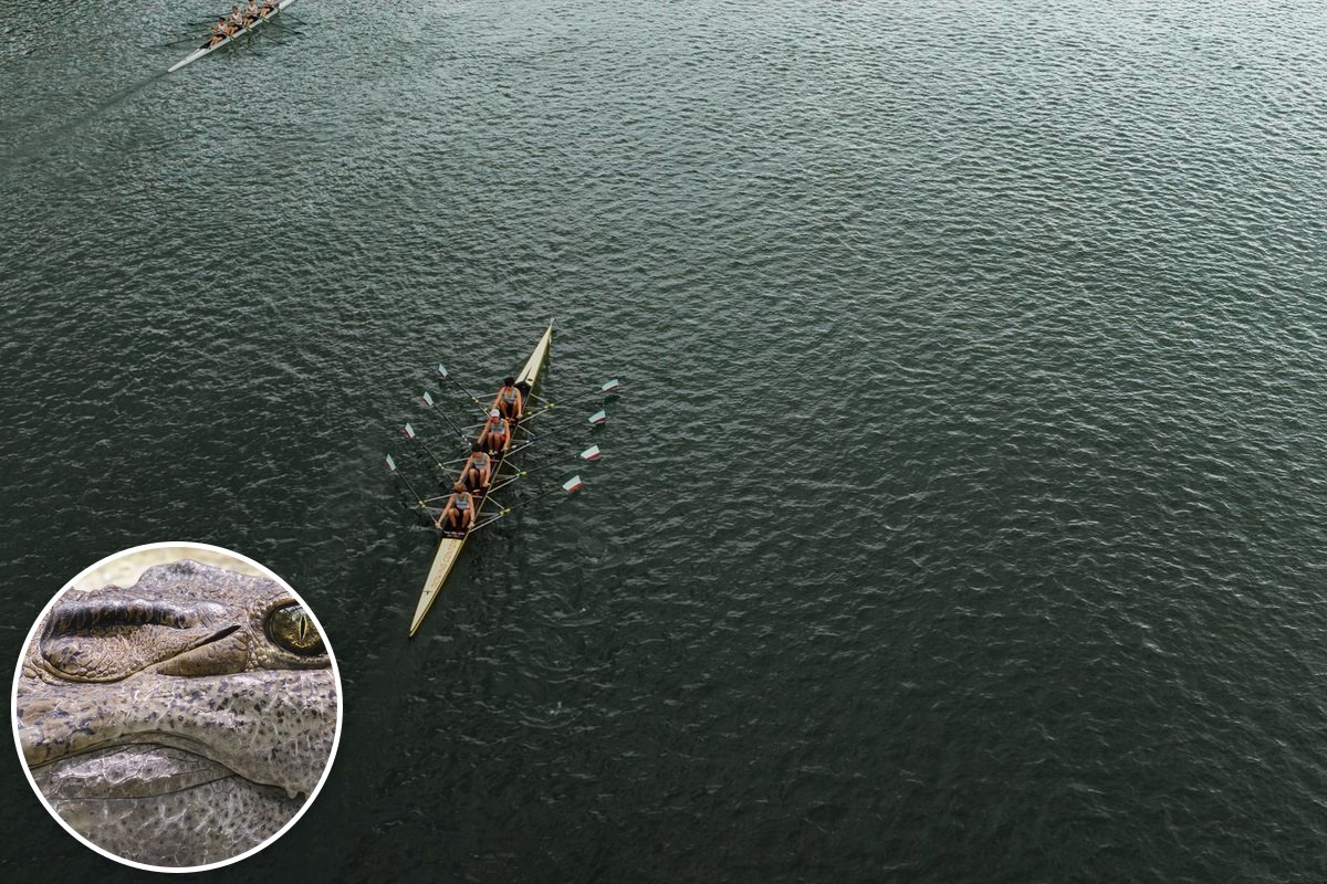 Rowing crews seen from above on dark green water, with a crocodile eye inset.